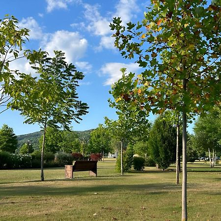 Vila Cu Mesteceni Câmpina Exterior foto